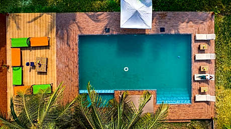 Mangrove escape by ILIF Hotels